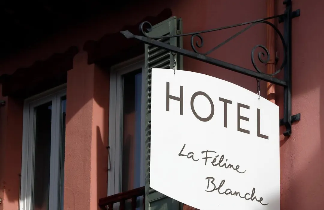 La Féline Blanche-1
